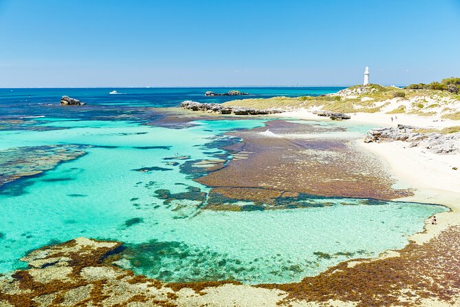 Rottnest Island Fast Ferry from Hillarys Boat Harbour Including Bike Hire - Price and Value: Why This Combo Costs What It Costs