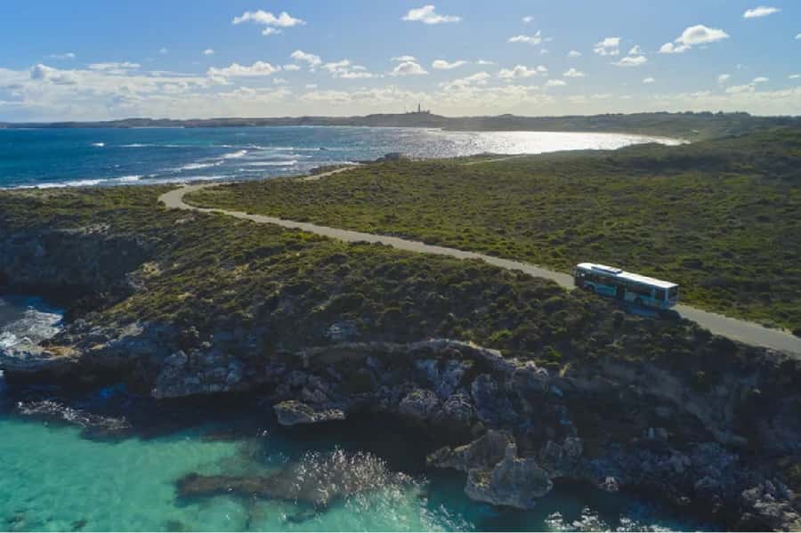Rottnest Island Ferry and 1.75 Hr Bus Tour - The 7:30AM ferry out of Hillarys sets the tone