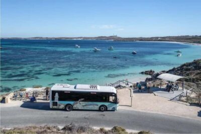 Rottnest Island Ferry and 1.75 Hr Bus Tour - The air-conditioned 1.75-hour bus tour: comfort with a purpose
