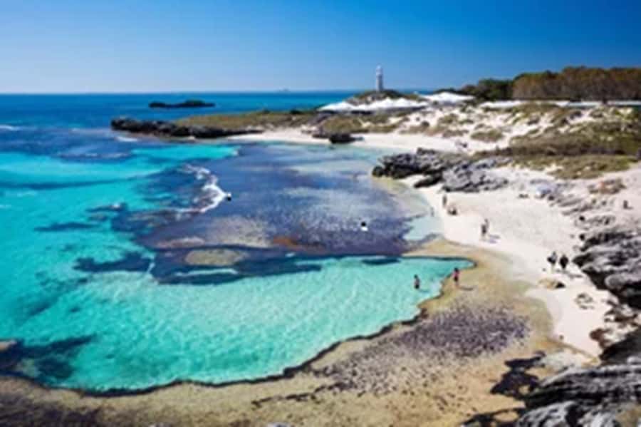 Rottnest Island Ferry and 1.75 Hr Bus Tour - Mabel Cove lookout: views without making it a workout