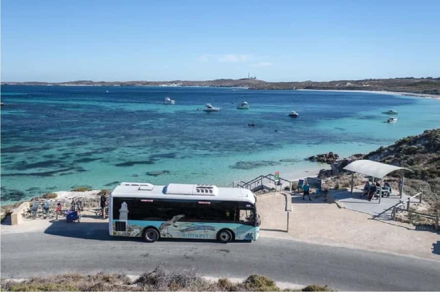 Rottnest Island Ferry and 1.75 Hr Bus Tour - The air-conditioned 1.75-hour bus tour: comfort with a purpose