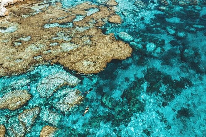 Rottnest Island Round Trip Ferry from Fremantle - Key highlights worth planning around