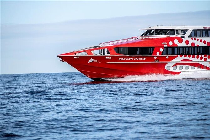 Rottnest Island Round Trip Ferry from Fremantle - Getting off the ferry: your island choices start immediately