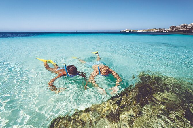 Rottnest Island Round-Trip Ferry from Perth - Key highlights you’ll care about