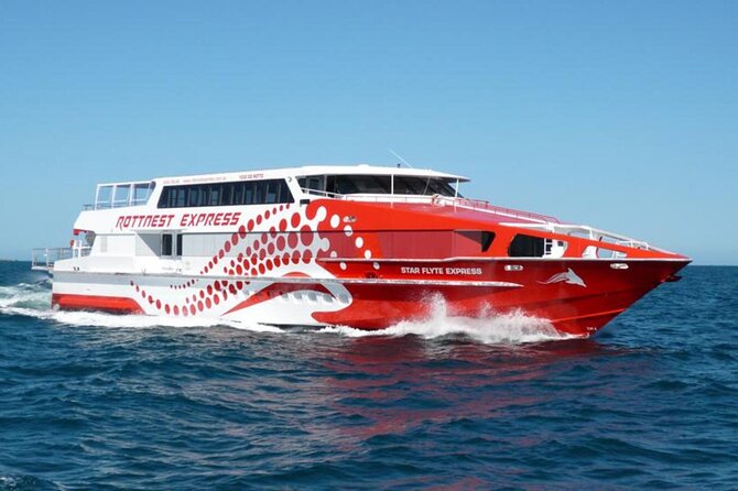 Rottnest Island Round-Trip Ferry from Perth - Water time on Rottnest: snorkeling, paddleboards, and surf rentals