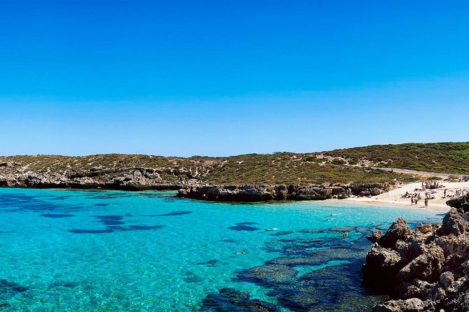 Rottnest Island Roundtrip Fast Ferry from Hillarys Boat Harbour - Comfort, Service, and Boat Quality: What to Expect from the Team
