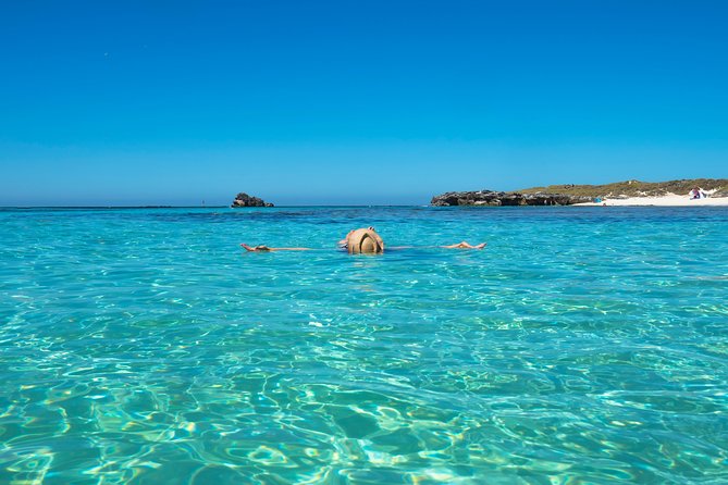 Rottnest Island Skydive Including Round Trip Ferry from Fremantle - Price and value: what $336.03 buys you (and what it doesn’t)