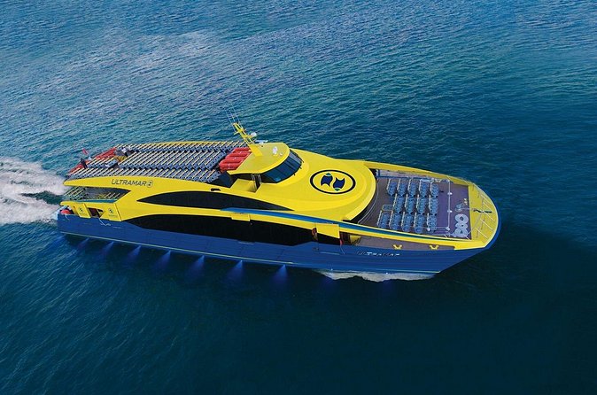 Round Ferry Transfer from Tortugas to Isla Mujeres - Docking at Isla Mujeres (API dock) and what to expect next