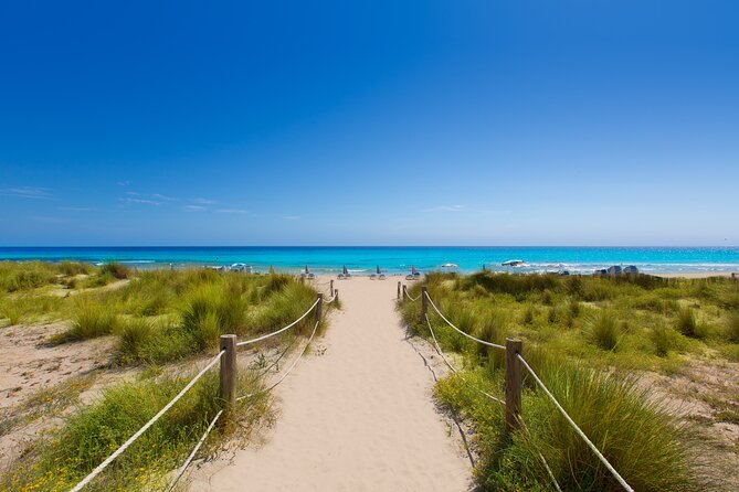 Round Trip Fast Ferry from Alcudia Mallorca to Menorca - Who Should Book This Fast Ferry Day Trip?