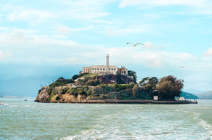 San Francisco: Hop-On Hop-Off Bus with Ferry & Alcatraz Tour - Fisherman’s Wharf, Palace of Fine Arts, and the Embarcadero