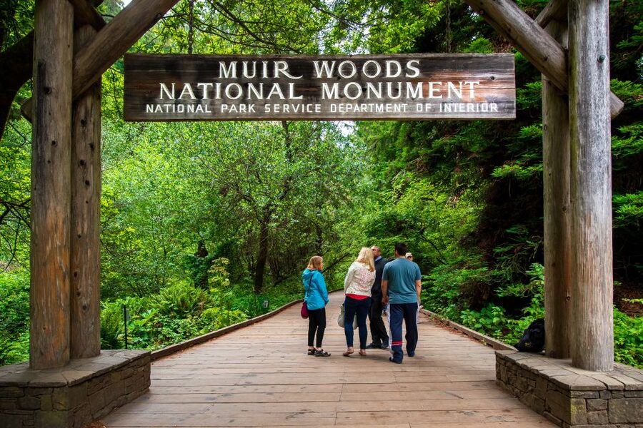 San Francisco: Morning Muir Woods & Sausalito Tour w/ Ferry - Guides, Audio, and the Pace: What It Feels Like Day-of