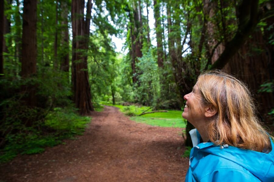 San Francisco: Morning Muir Woods & Sausalito Tour w/ Ferry - Price and Value: What $104 Covers (and What It Doesn’t)