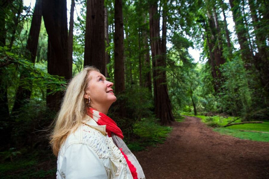San Francisco: Morning Muir Woods & Sausalito Tour w/ Ferry - Who Should Book This Tour, and Who Might Want a Different Plan