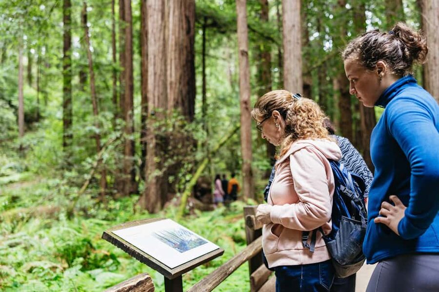 San Francisco: Muir Woods & Sausalito Tour with Ferry Option - A half-day plan that saves you from car stress