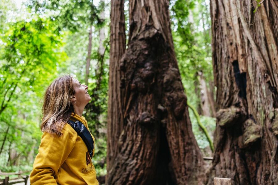 San Francisco: Muir Woods & Sausalito Tour with Ferry Option - The Golden Gate Bridge stop: what you’ll see and why weather changes everything