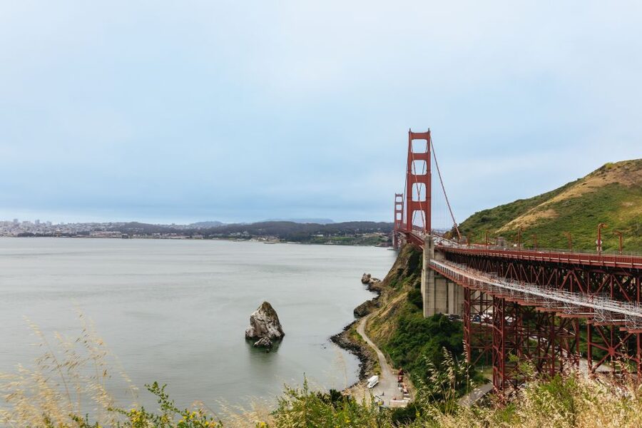 San Francisco: Muir Woods & Sausalito Tour with Ferry Option - Price and value: why $91 can make sense for what’s included