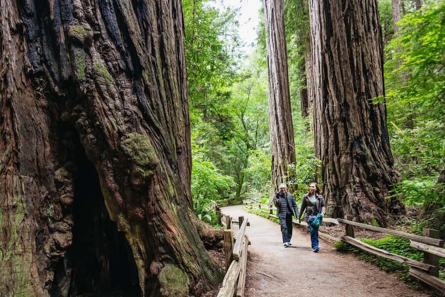 San Francisco: Muir Woods & Sausalito Tour with Ferry Option - Getting to the start: meeting points and pickup reality