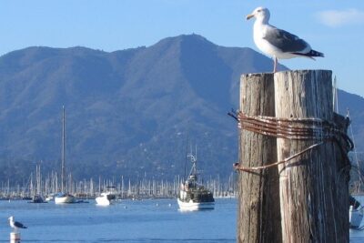 Sausalito Ferry from Pier 41, San Francisco - Timing matters: when to arrive at Pier 41 so you don’t stress