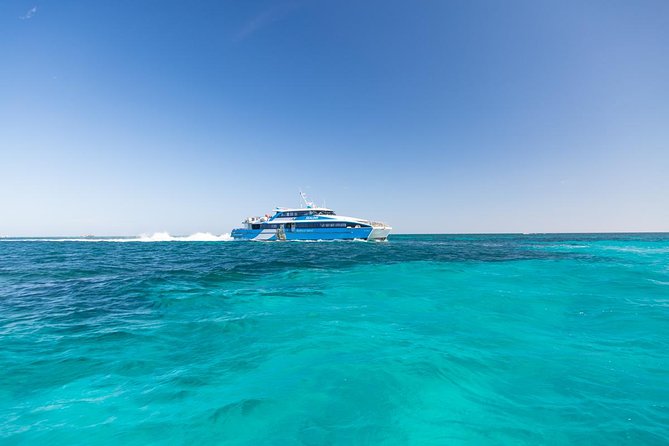 Sealink Bike & Ferry Package from Fremantle - On-board comfort you’ll actually care about: WiFi, restrooms, and getting fed later