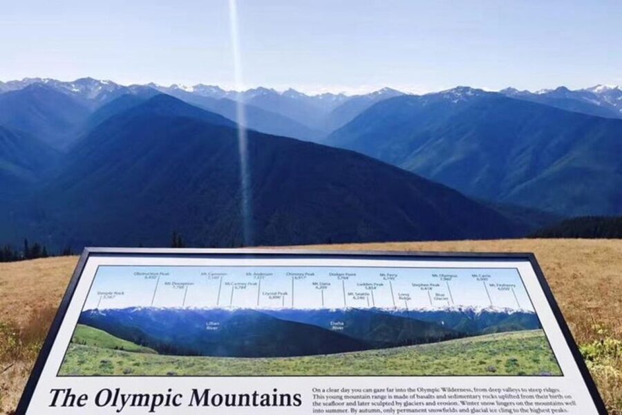 Seattle: Olympic National Park Day Tour with Scenic Ferries - The Park’s Ecosystems You’ll Actually Notice During Stops