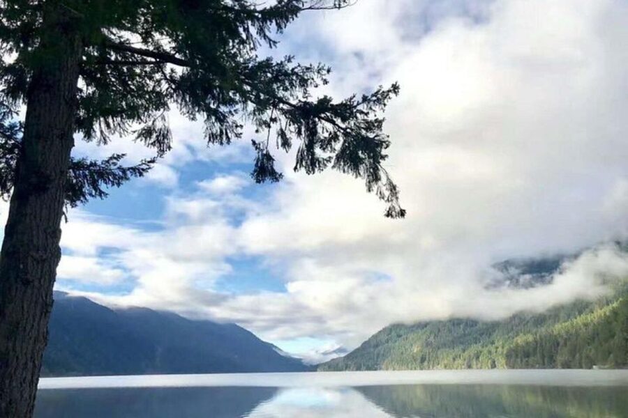 Seattle: Olympic National Park Day Tour with Scenic Ferries - What the “Guided Bus Day” Feels Like in Real Life