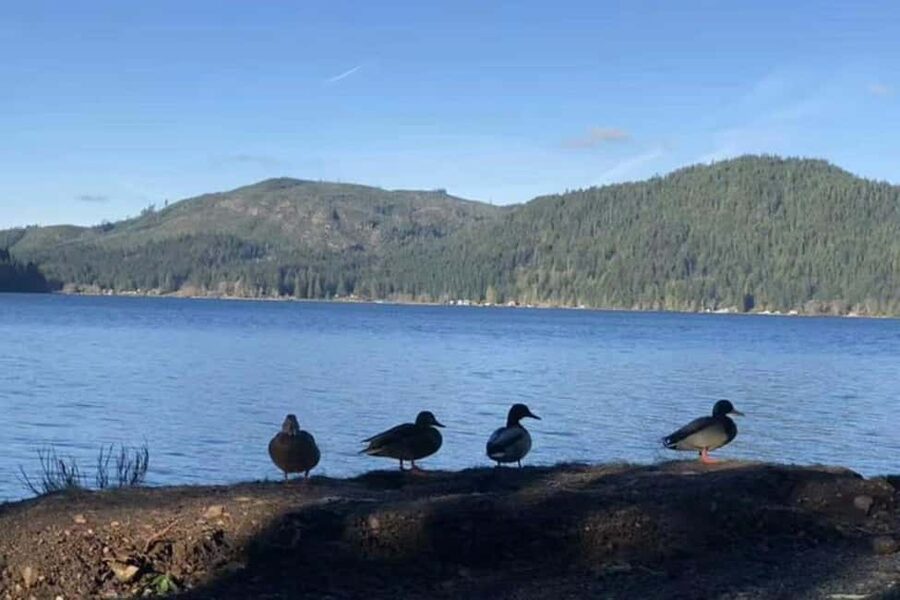 Seattle: Olympic National Park Day Tour with Scenic Ferries - Price and Value: What $170 Covers (and Why It Matters)