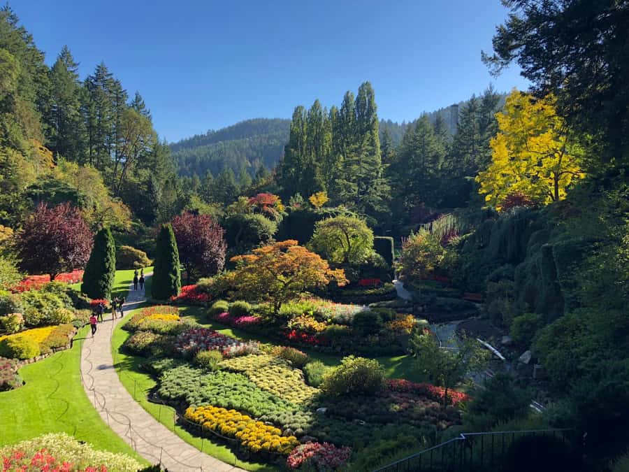 Seattle: Victoria, BC Round-Trip Ferry Tour - Key things to know before you go