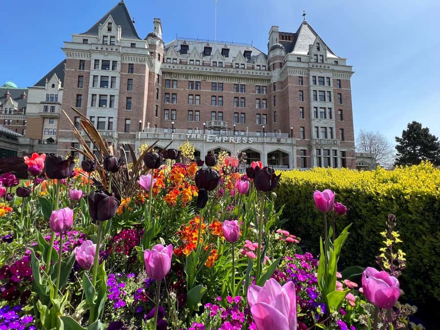Seattle: Victoria, BC Round-Trip Ferry Tour - Price and what you’re really paying for (and why it can feel fair)