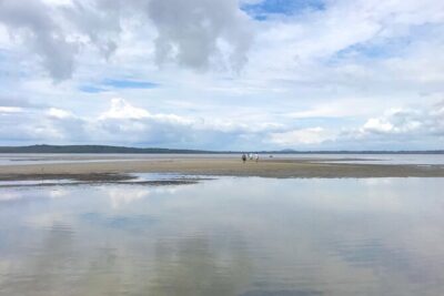 Secrets of Noosa Tour with Oceanview Lunch, Nature & Noosa River Ferry - Premium bus comfort: the practical part that makes a long day easier