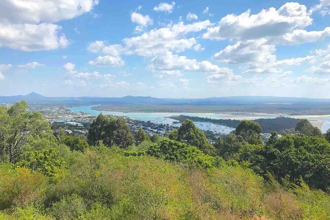 Secrets of Noosa Tour with Oceanview Lunch, Nature & Noosa River Ferry - Sunshine Beach lunch with ocean views: included, and worth making it the highlight