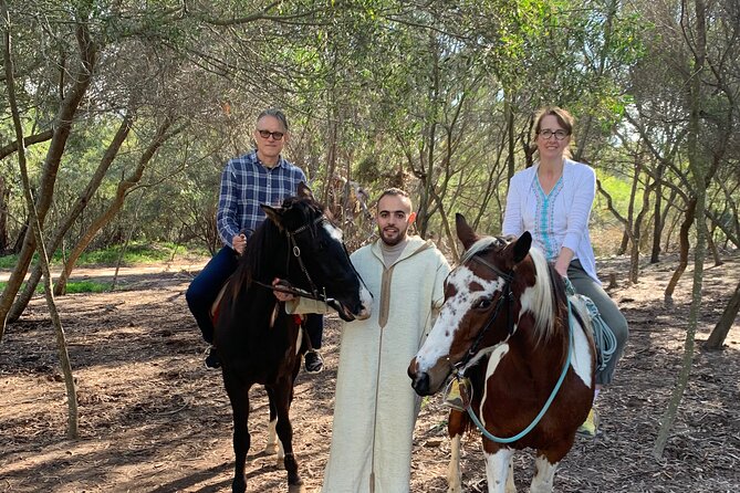 Tangier Private Full Day Tour Including Ferry Ticket & Camel Ride - Synagogue stop and Mendoubia gardens: quieter stops that add depth