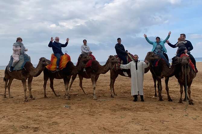 Tangier Private Full Day Tour Including Ferry Ticket & Camel Ride - The Medina of Tangier: where the best memories are made