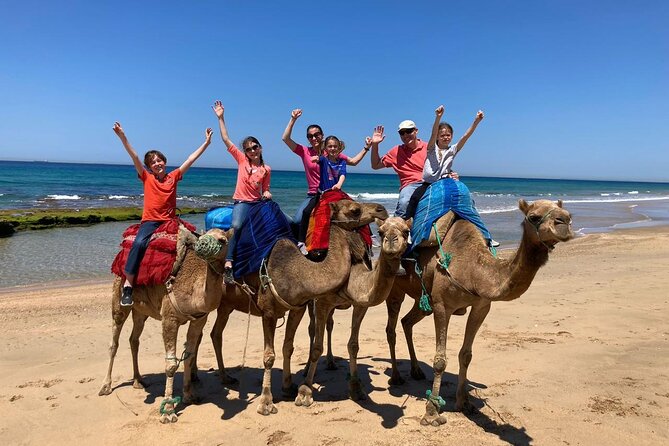 Tangier Private Tour from Tarifa with Express Ferry - Musee de la Kasbah: how Tangier linked Africa and Europe