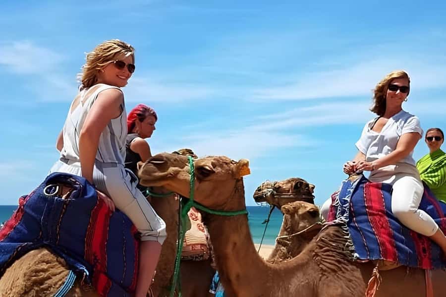 Tarifa/Algeciras: Tangier Private Day Tour with Ferry Ticket - Into the Kasbah: steep medina alleys and old Tangier