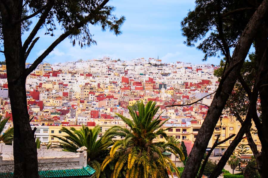 Tarifa: Day trip to Tangier by ferry with exclusive VIP service - Food tasting and lunch: included meals worth using