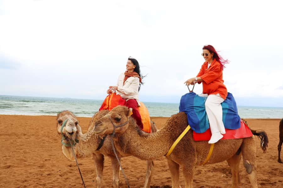 Tarifa: Day trip to Tangier by ferry with lunch and tour guide - When Schedules Shift: What You Should Expect If the Day Gets Cut Short
