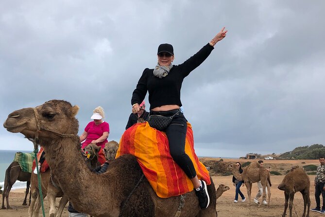 Tarifa to Tangier Tour with ferry ticket , lunch & camel ride - The real appeal: Tangier in one long, well-paced day