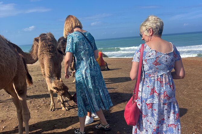 Tarifa to Tangier Tour with ferry ticket , lunch & camel ride - Value check: why $170.31 can make sense