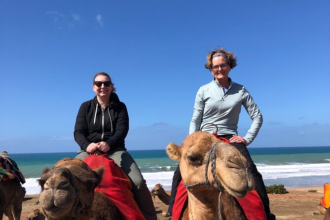 Tarifa to Tangier Tour with ferry ticket , lunch & camel ride - Meeting the Mediterranean and Atlantic: Achakkar Beach camel ride