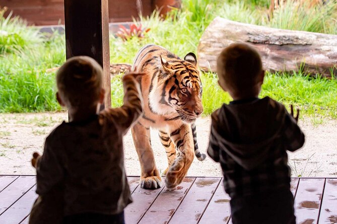 Taronga Zoo + Ferry Return Ticket - Circular Quay and Darling Harbour: your harbor gateway plan