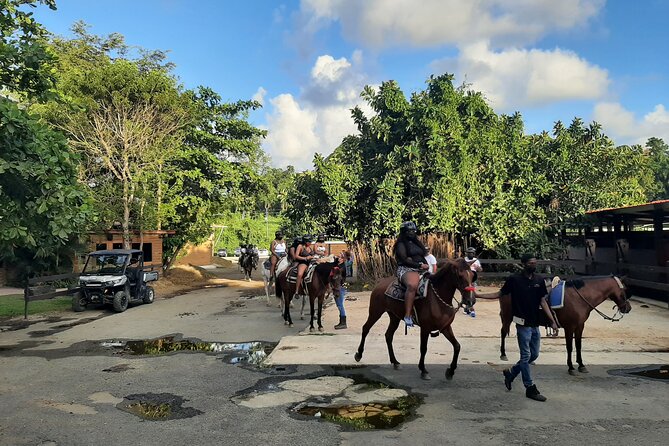 Transfer from San Juan to Ceiba Ferry or Ceiba to San Juan - Where they’ll pick you up and drop you off