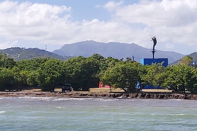 Transportation from San Juan to Ceiba ferry or airport - Price and Value: $160 Per Group (Up to 5) for a 1-Hour Ride