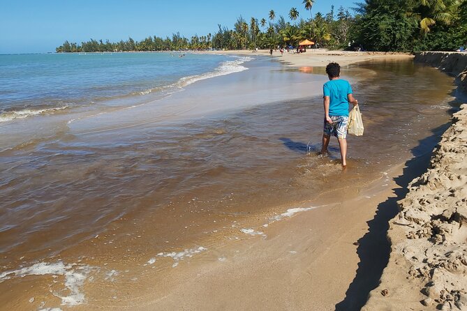 Transportation from San Juan to Ceiba ferry or airport - Pet Rules and Family Needs: Plan Ahead So It Stays Easy