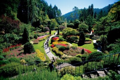 Victoria & Butchart Gardens Tour with Ferry from Vancouver - BC Ferries Deck Time: The View Segment You’ll Remember