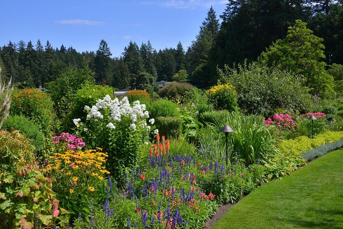 Victoria & Butchart Gardens Tour with Gulf Islands Cruise Ferry - Downtown Victoria free time: 1.5 hours sounds fine until you’re on the street