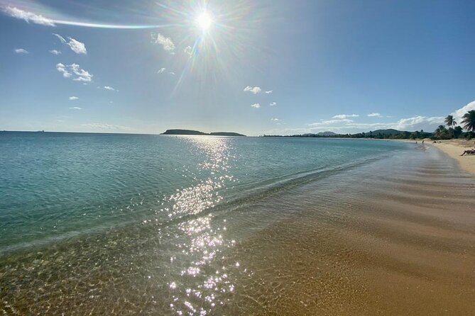 Vieques Bio Bay Tour and Beach Day Trip from San Juan by Ferry - The Mosquito Bay Bioluminescence Kayak Tour: What You’re Paying For
