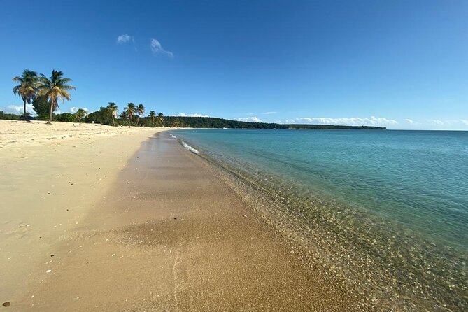 Vieques Bio Bay Tour and Beach Day Trip from San Juan by Ferry - Price and Value: Is $230 a Good Deal for a Same-Day Ferry Tour?