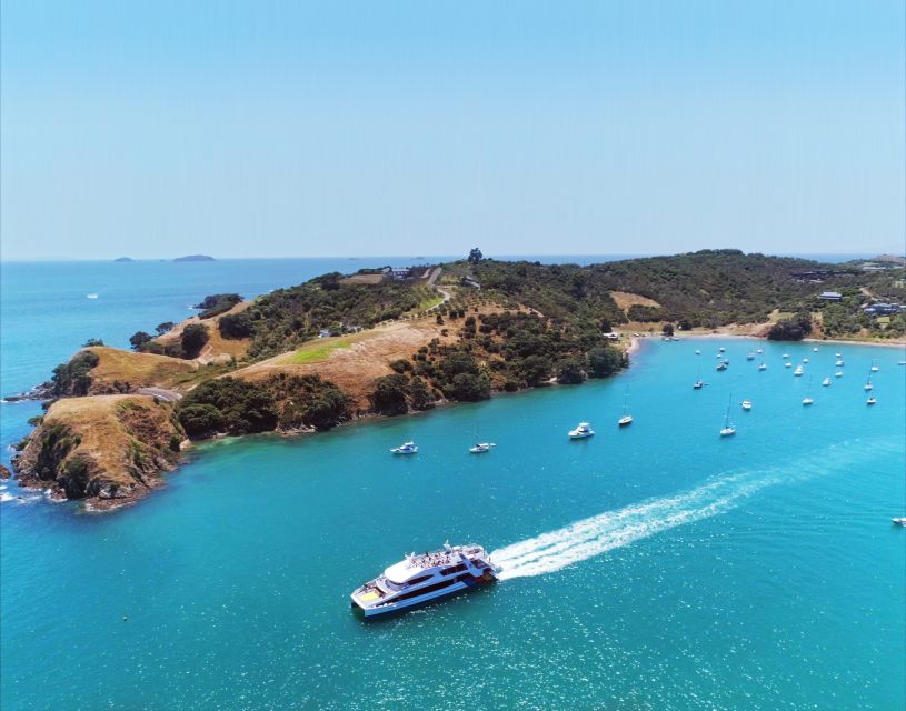 Waiheke Island: Ferry & Hop-On Hop-Off Explorer Bus Tickets - The Core Plan: How Your Hop-On Day Actually Feels