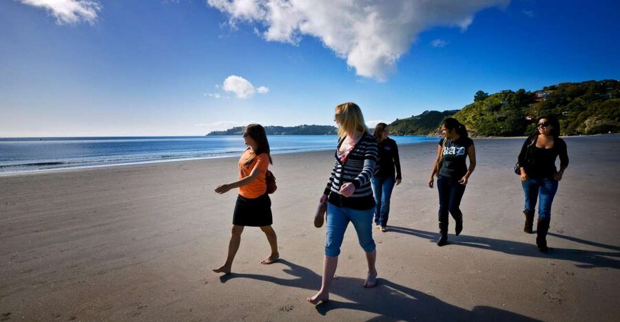 Waiheke Island: Ferry & Hop-On Hop-Off Explorer Bus Tickets - Wine Stops That Are Worth Building Your Day Around